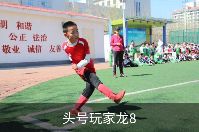 头号玩家龙8公司环境